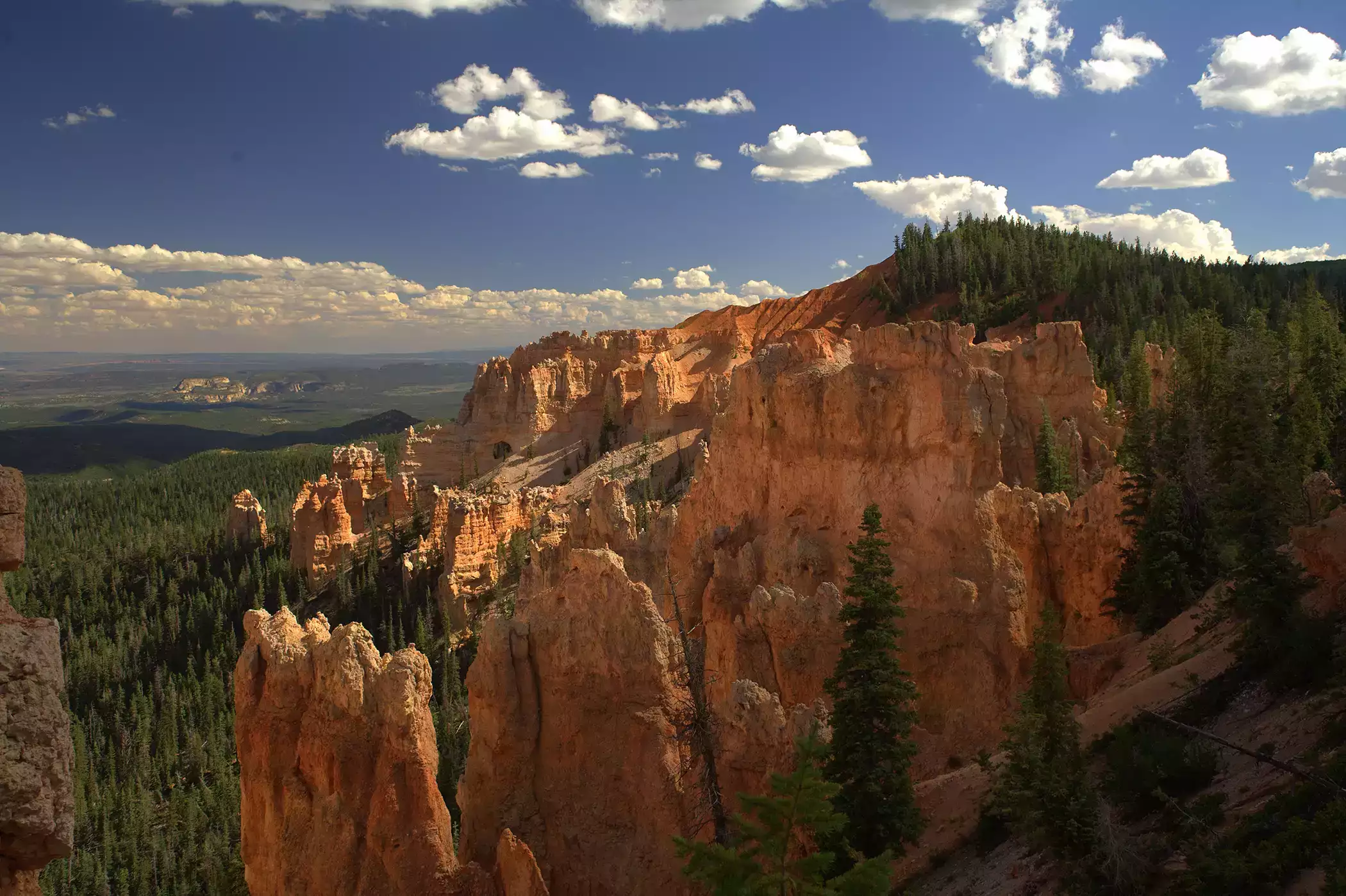 Featured image for “Summer’s Oasis in Bryce Canyon Country”